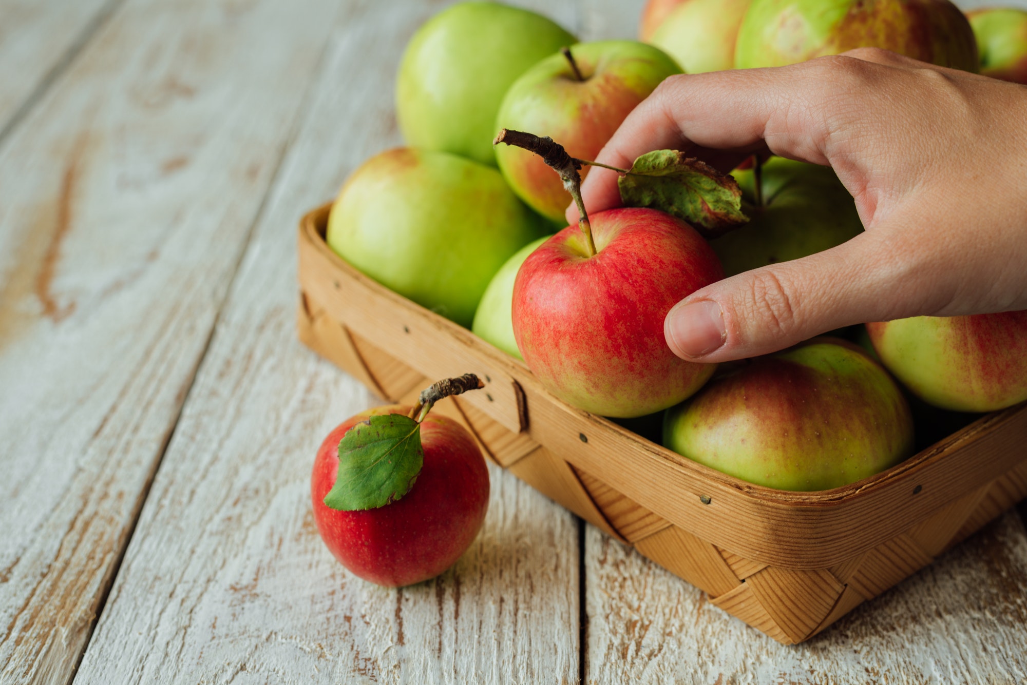 Hand holding fresh garden apple